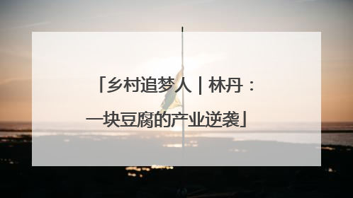 乡村追梦人｜林丹：一块豆腐的产业逆袭